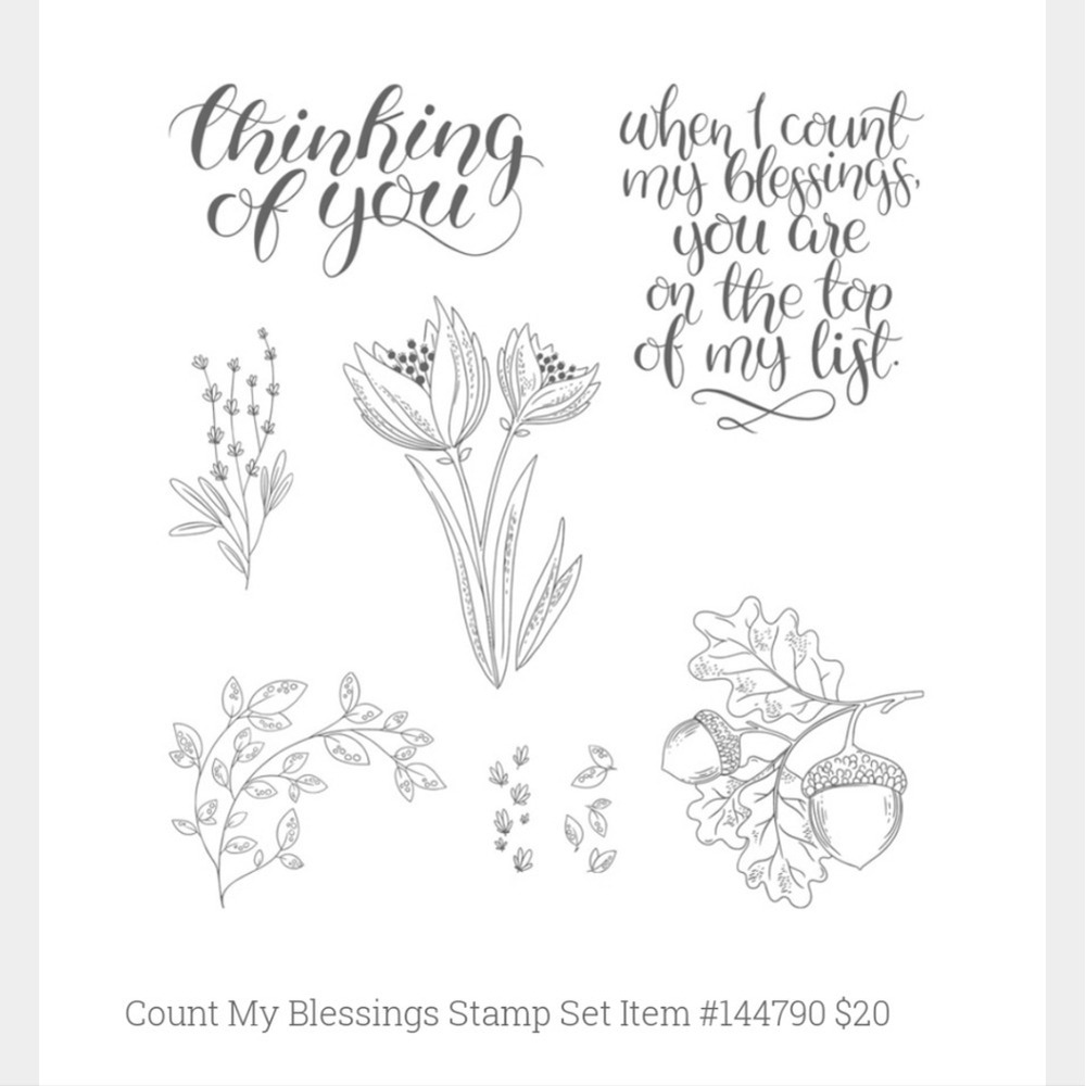 Stampin' Up! Count My blessings set of 8 stamp set